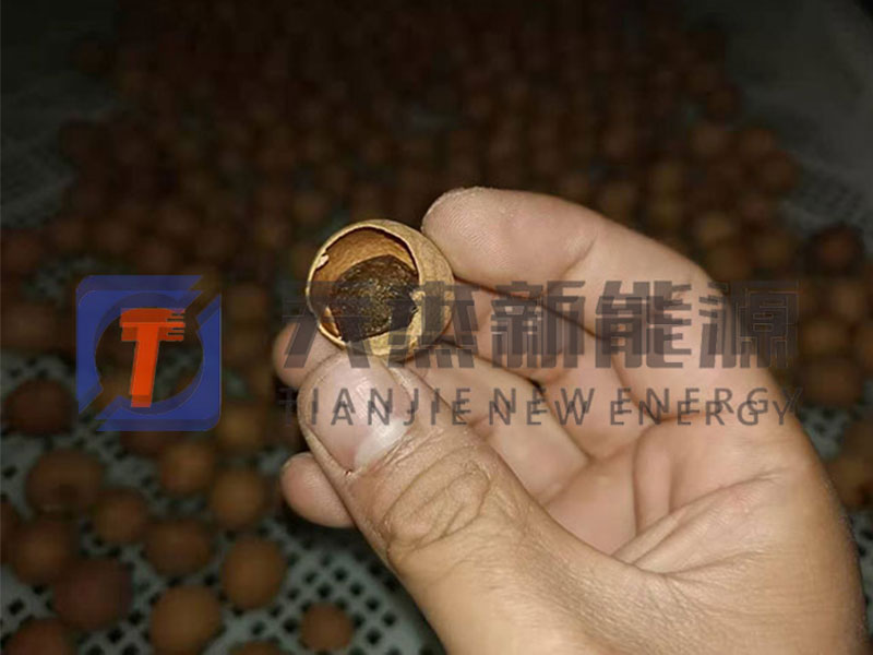 萬州龍眼烘干機客戶實拍現場