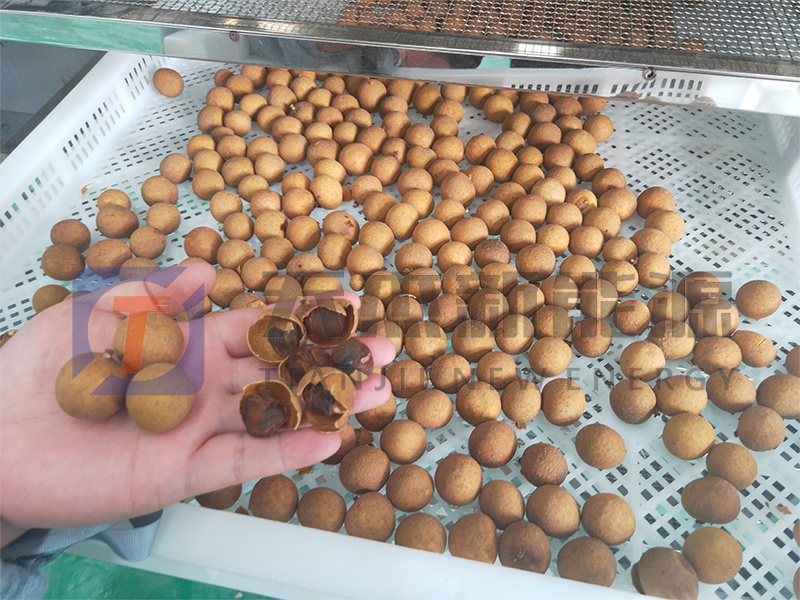 天杰新能源?；葜蔟堁酆娓蓹C開機大吉